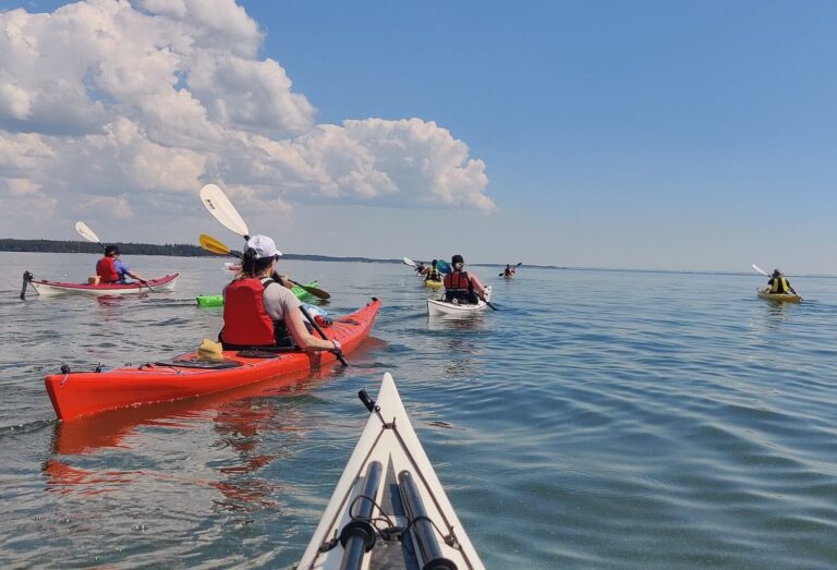 Meloja 1 -kurssi toukokuussa 2026